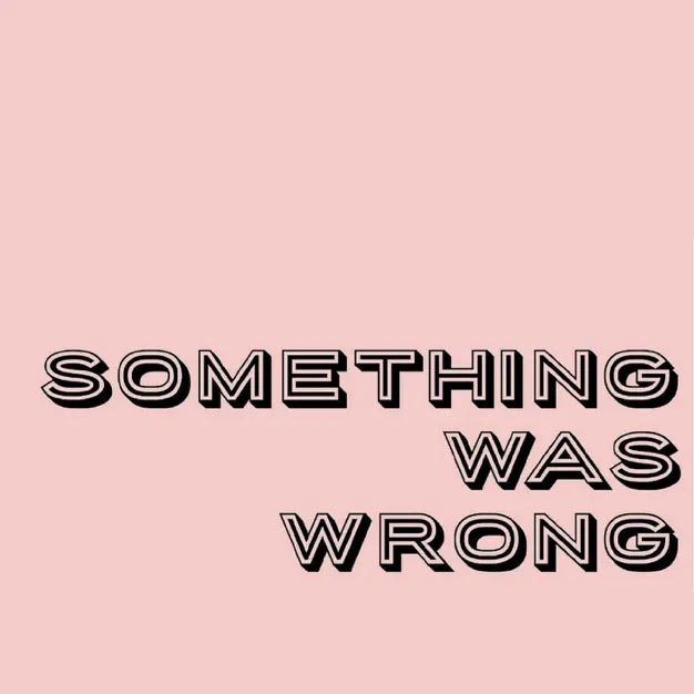 Something Was Wrong true-crime docuseries about the discovery, trauma, and recovery from shocking life events and abusive relationships